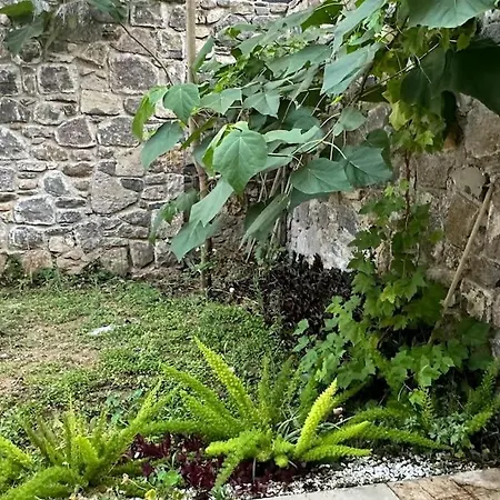Διαμέρισμα The Whole House *