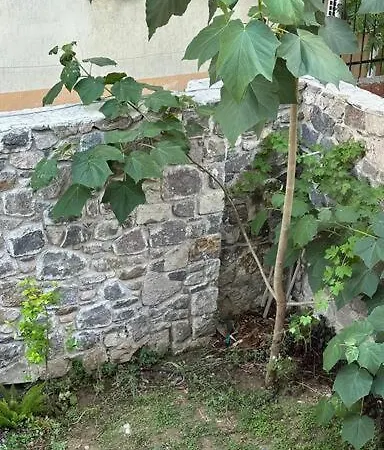 The Whole House Διαμέρισμα Σμύρνη